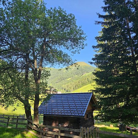 Kinder- Und Familienhotel Nockalm Innerkrems Buitenkant foto