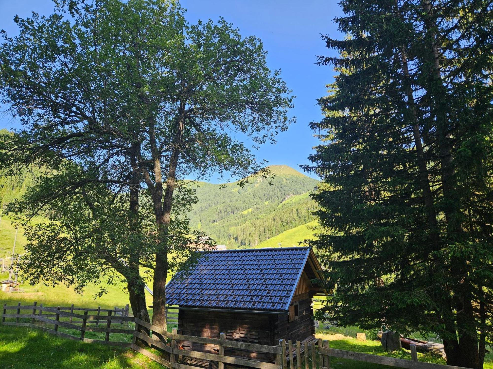 Kinder- Und Familienhotel Nockalm Innerkrems Buitenkant foto