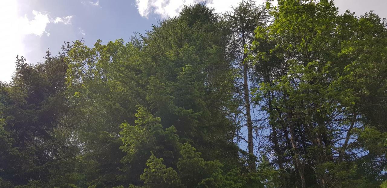 Kinder- Und Familienhotel Nockalm Innerkrems Buitenkant foto